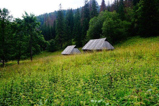 Hiking w Dolinie Strążyskiej